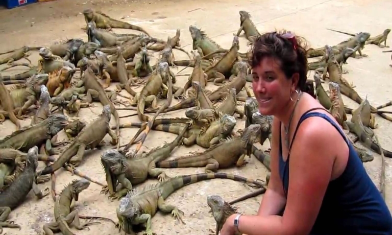 roatan iguana farm