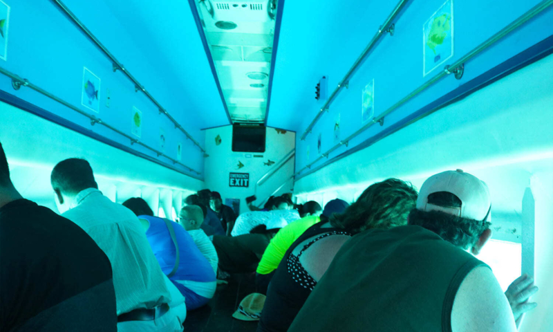 roatan semi sub tour