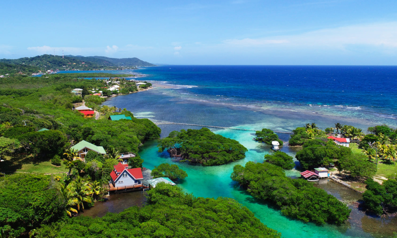 roatan mangrove tunnels tour