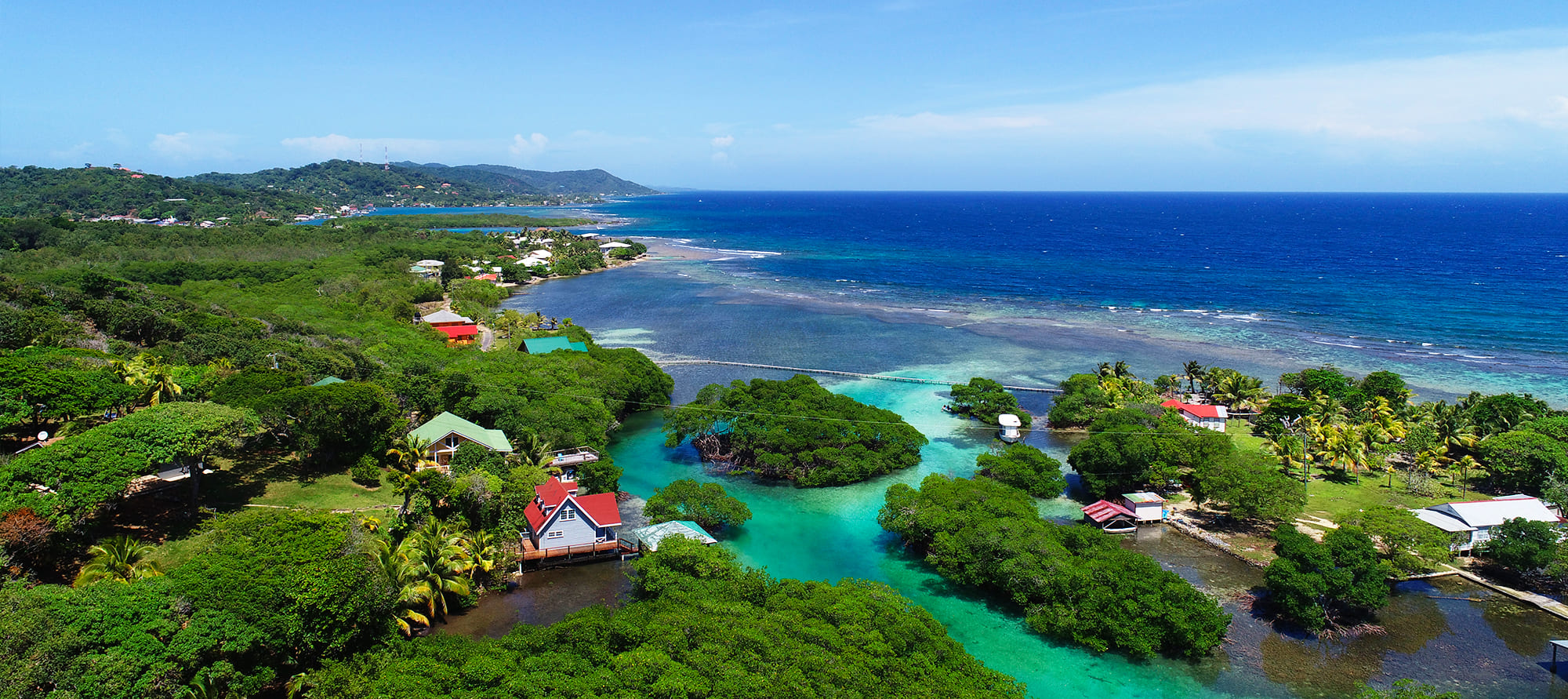 roatan mangrove tunnels tour