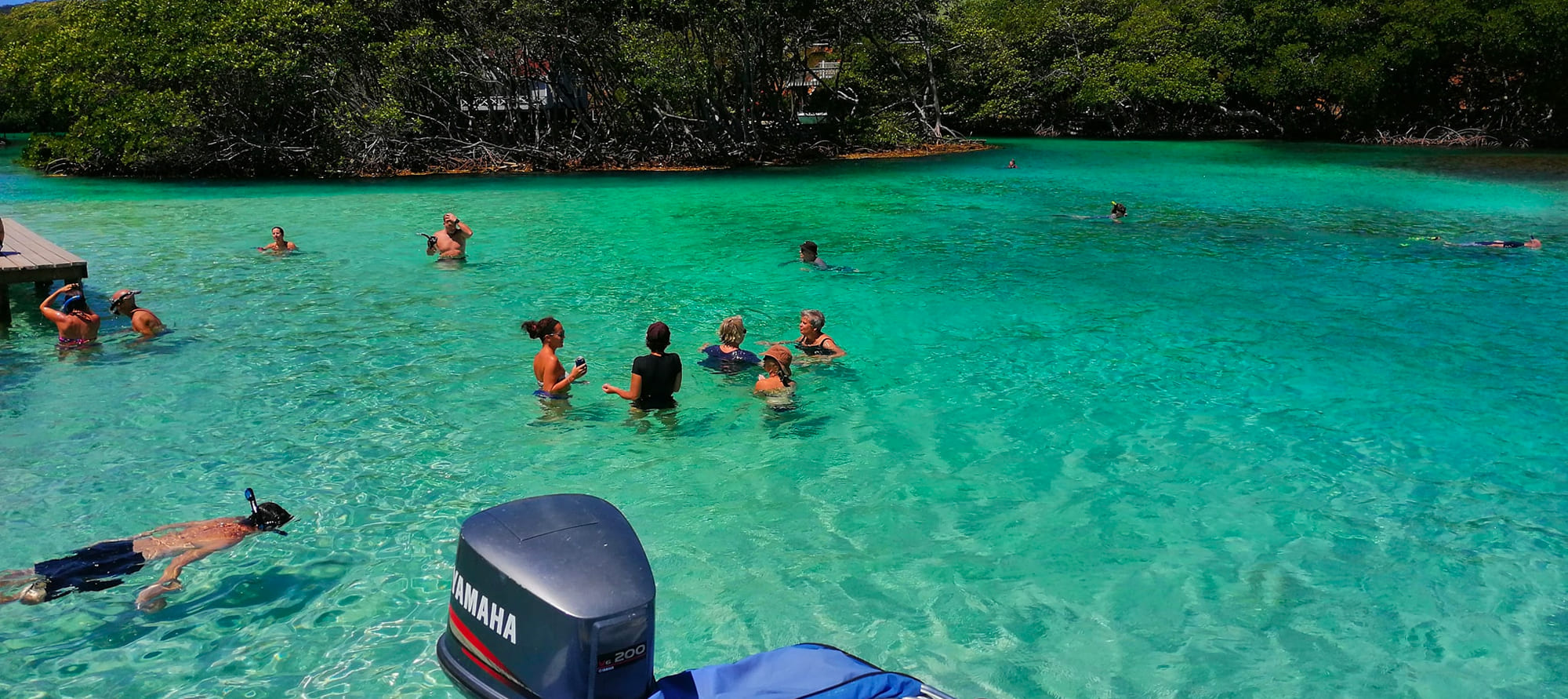 roatan snorkeling shore excursion