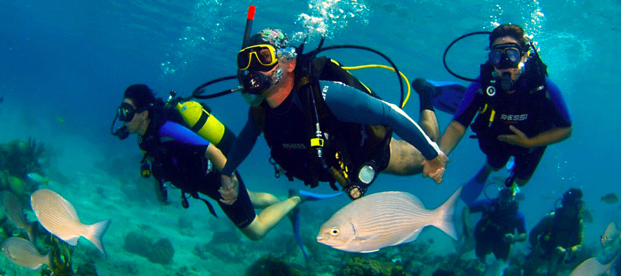Discover Scuba Diving Roatan