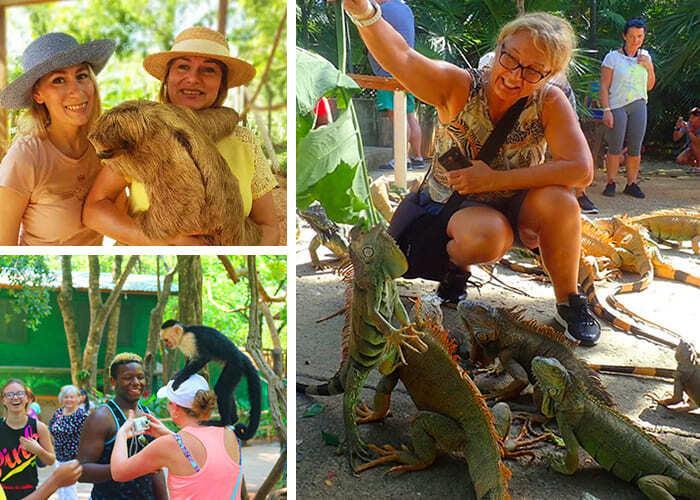 roatan iguana farm