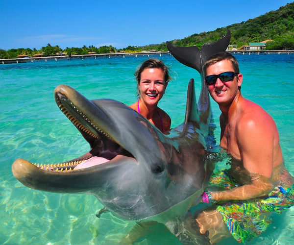 dolphin swim and snorkel roatan, honduras royal caribbean