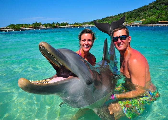 dolphin swim and snorkel roatan, honduras royal caribbean