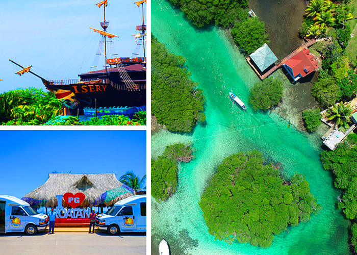 roatan mangrove tunnels tour