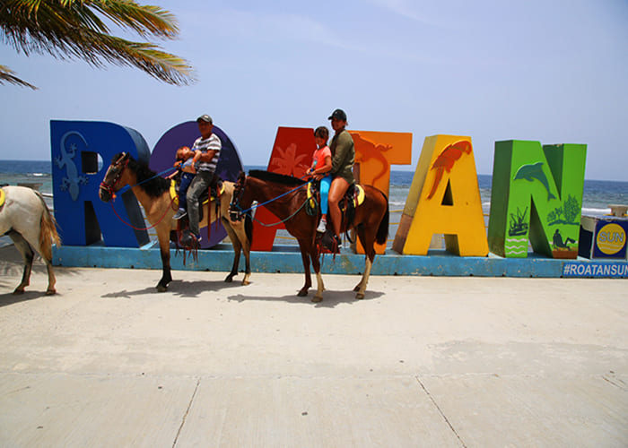 roatan horseback riding