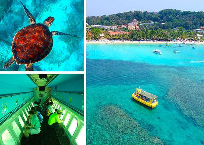 roatan glass bottom boat tour