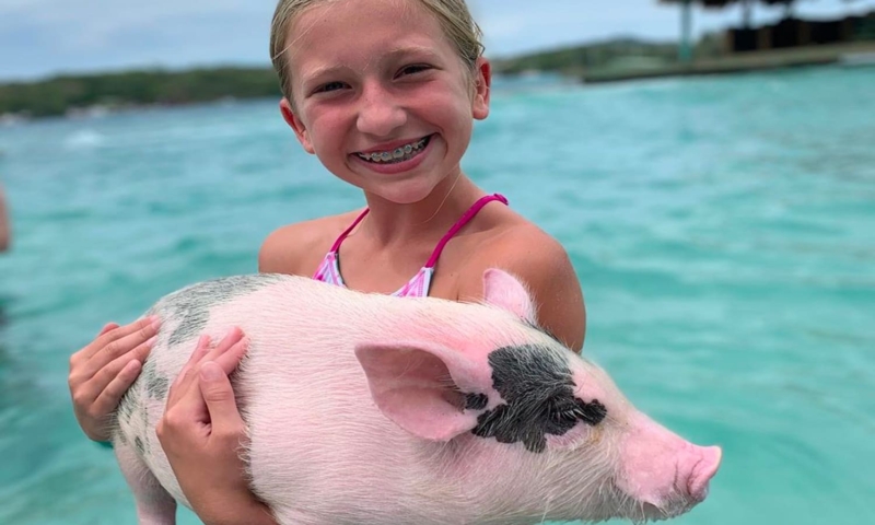Roatan Little French Key pigs