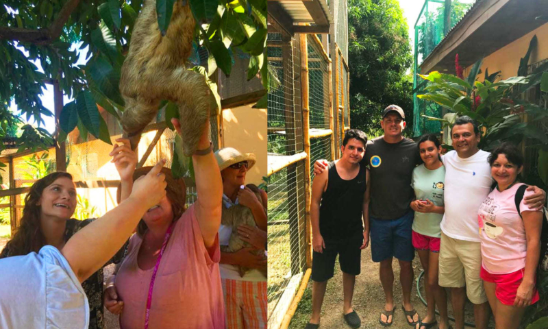 aj's monkeys and sloths