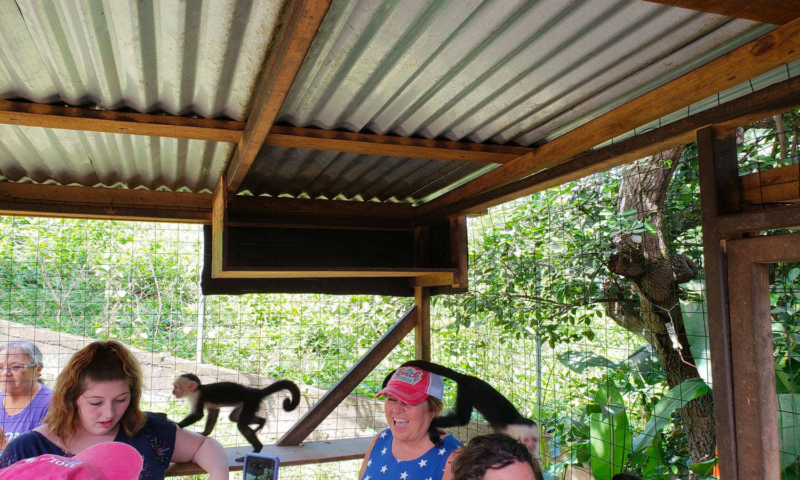 roatan southside snorkel and monkey and sloth park excursion