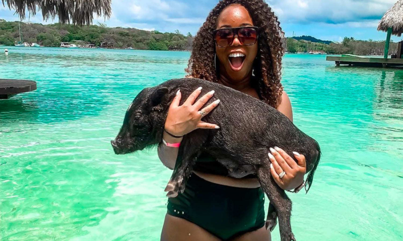 Roatan Little French Key pigs