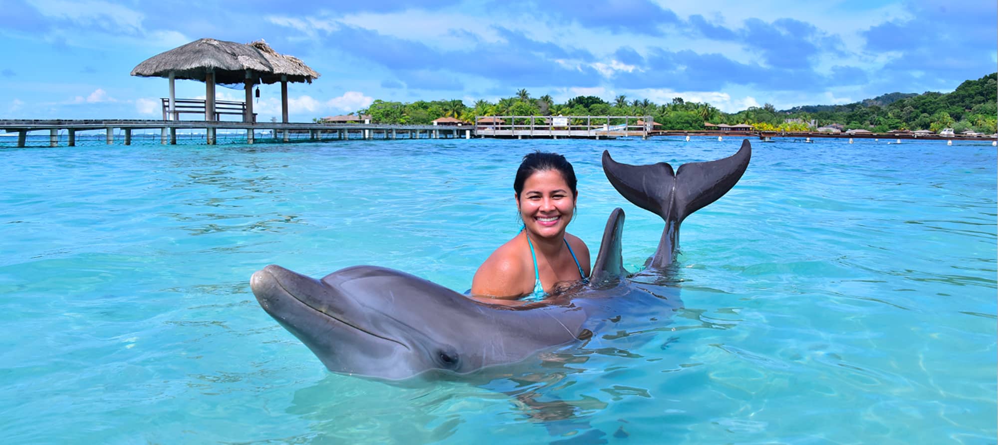roatan dolphin encounter