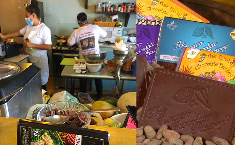 roatan chocolate factory tour