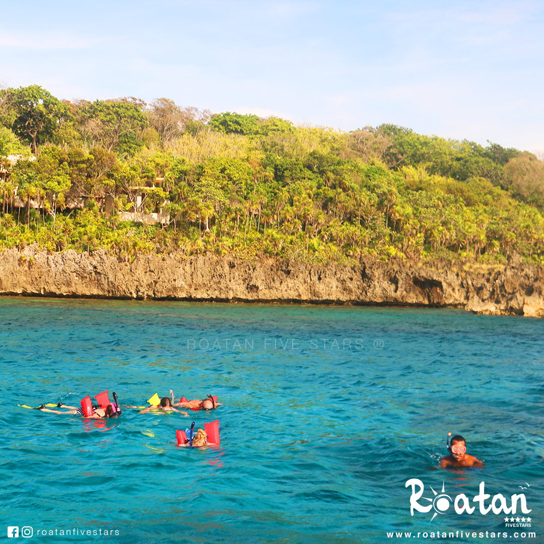 Roatan Private Catamaran Snorkeling and Sailing - Roatan Five Stars Tours
