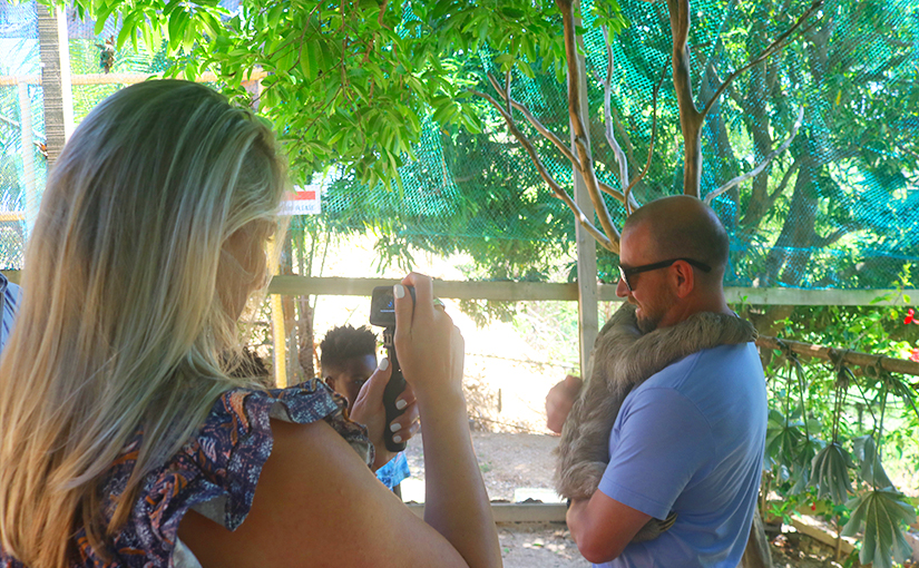 holding sloth roatan