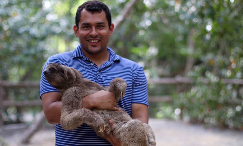 Gumbalimba Park sloth
