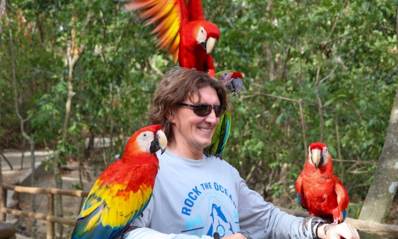 Gumbalimba Park macaws