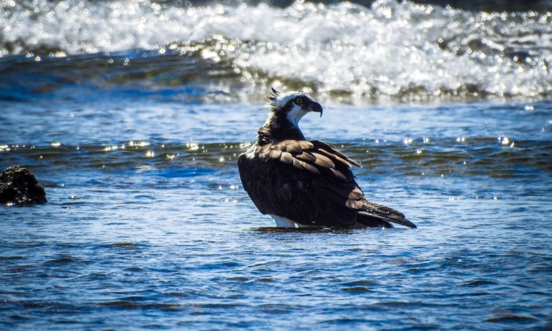 Gumbalimba Park botanical garden