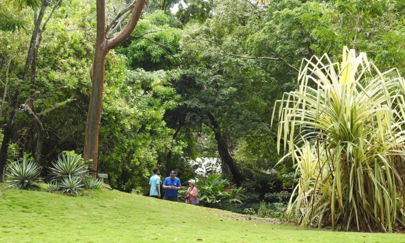 Gumbalimba Park botanical garden