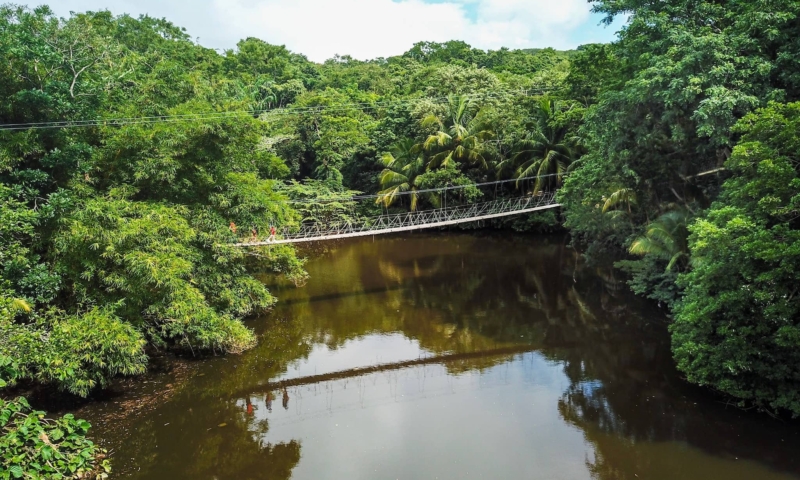 gumbalimba park bridge