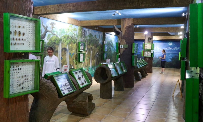 Gumbalimba Park insectarium