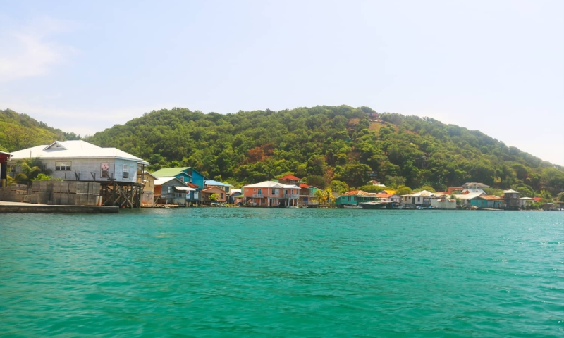 mangrove tunnels roatan
