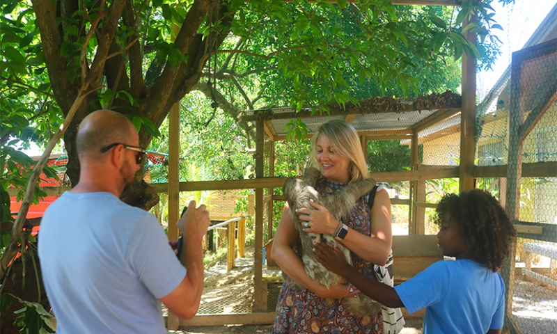 roatan sloth chocolate tour