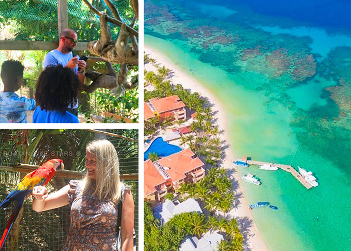 Wild & Adventure Tours - Roatan Five Stars Tours