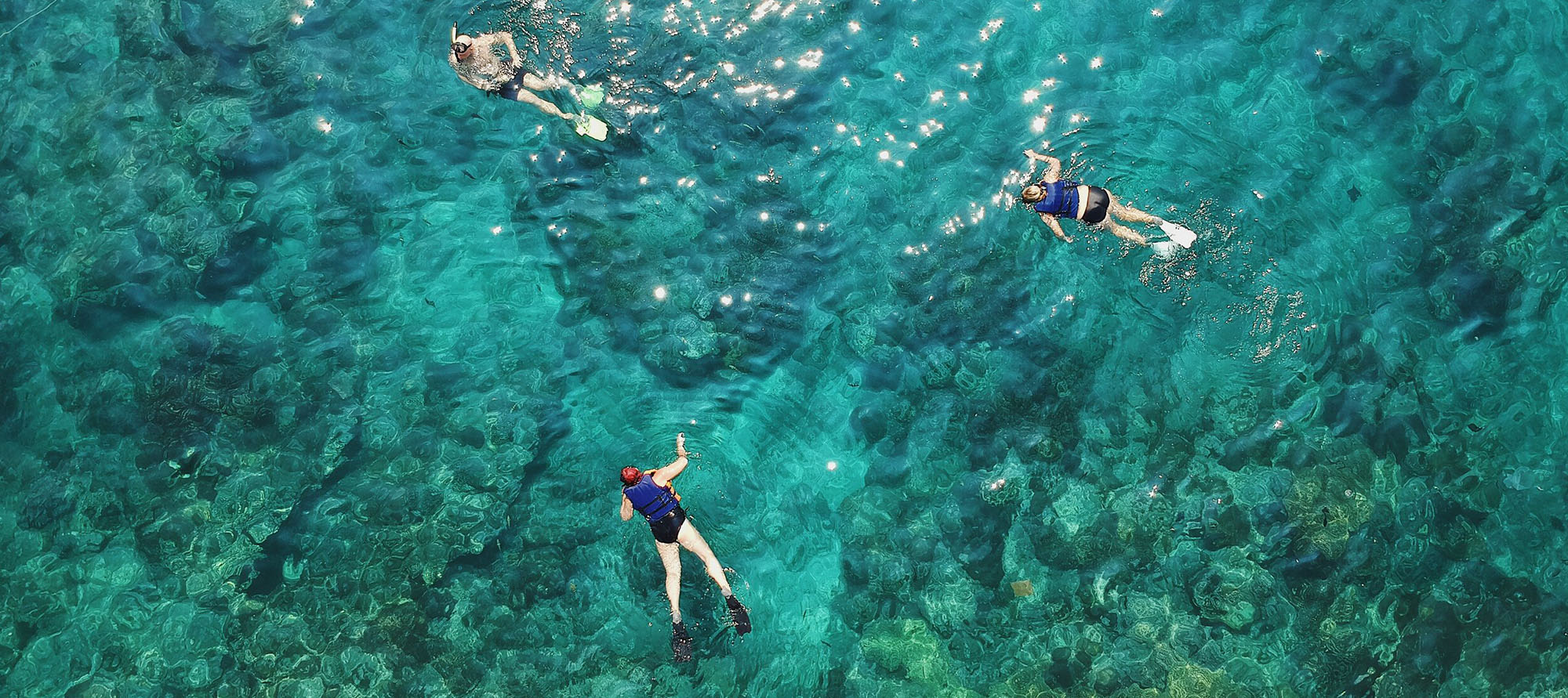 learn to snorkel in roatan