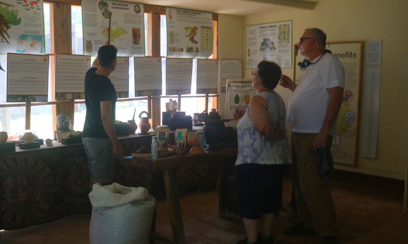 roatan chocolate mayak