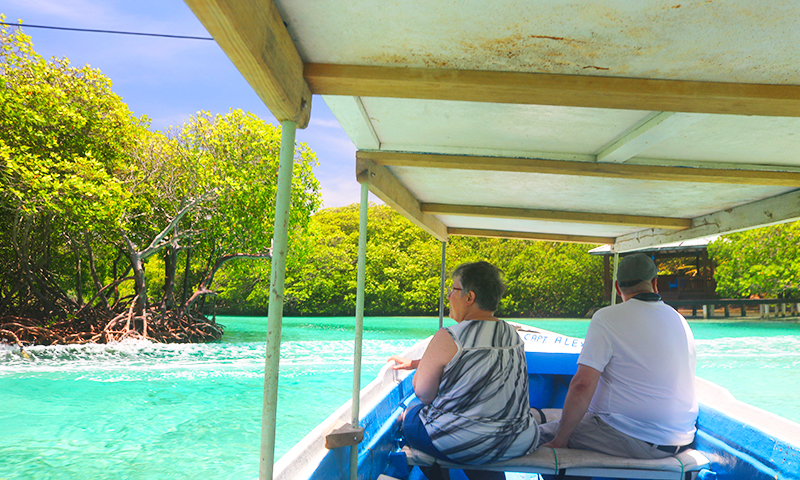 roatan mangrove tunnels tour
