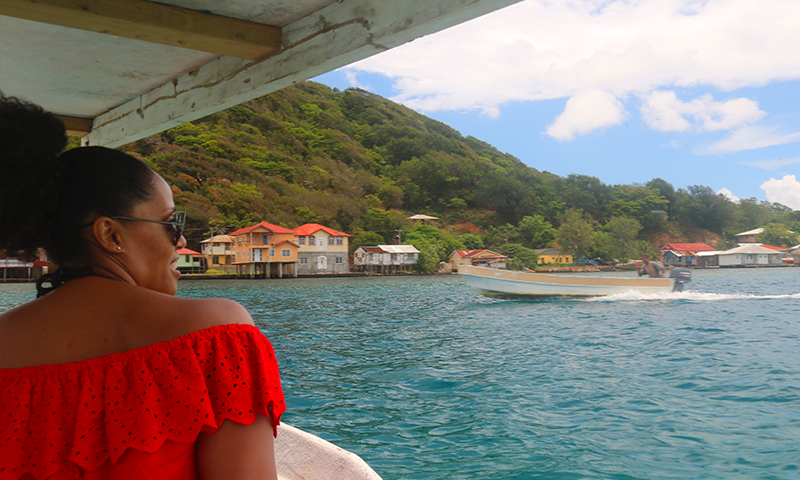 roatan mangrove tunnel