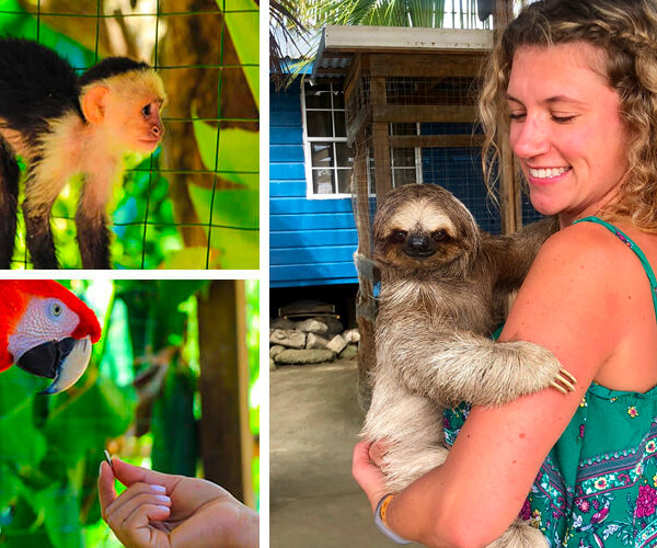 roatan sloth tour