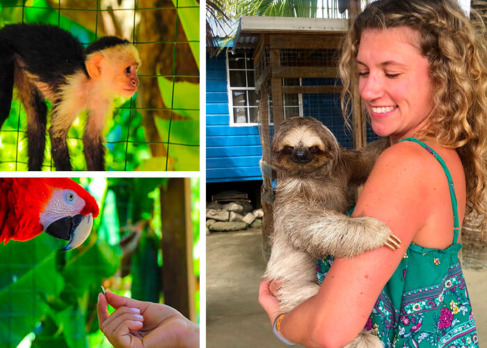 roatan sloth tour