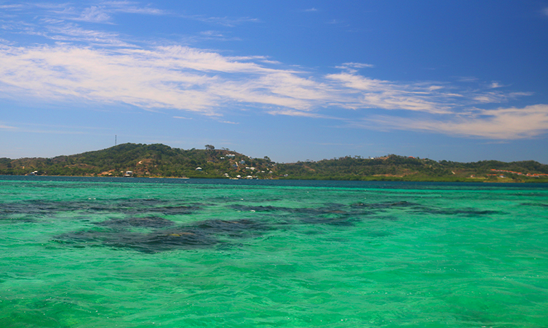 roatan snorkeling tour