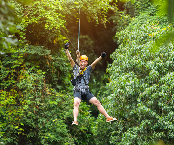 roatan zipline canopy