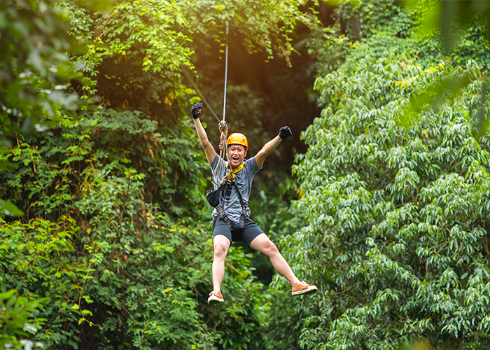 roatan zipline canopy