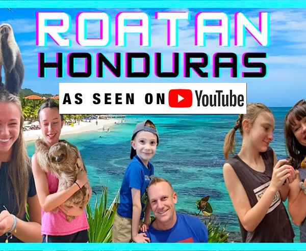 roatan snorkeling combo tour