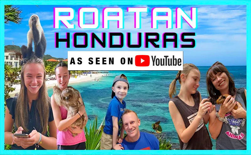 roatan snorkeling combo tour