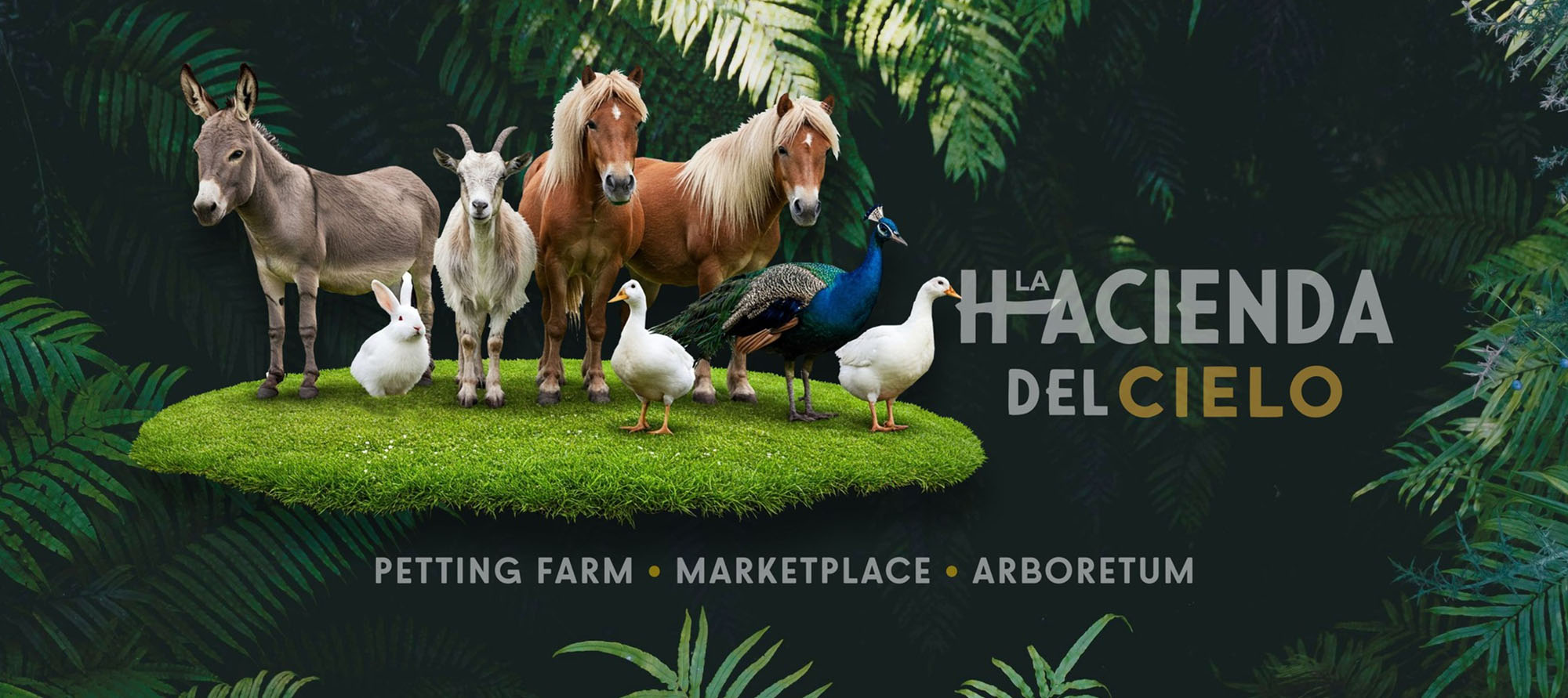 Hacienda del cielo roatan