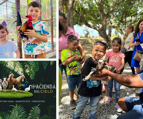 Hacienda del Cielo Roatan
