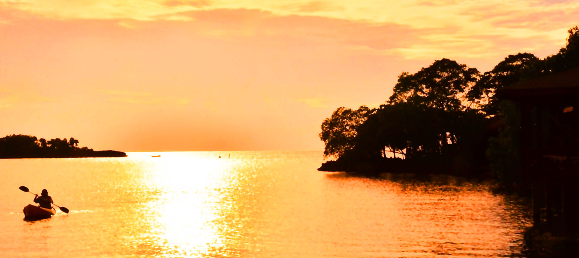 roatan sunset boat tours