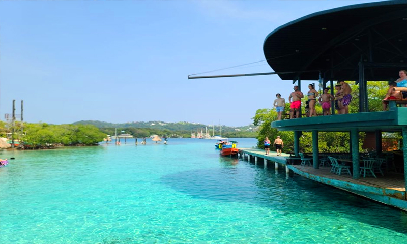 Little French Key pigs