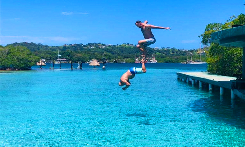 Little French Key pigs