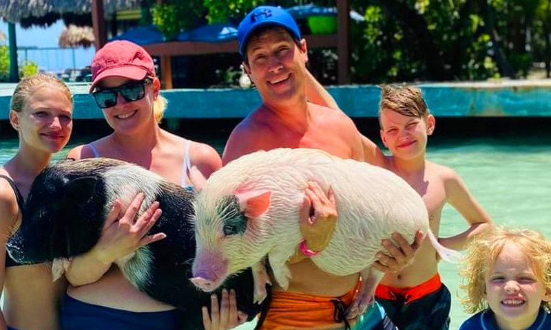 Little French Key pigs