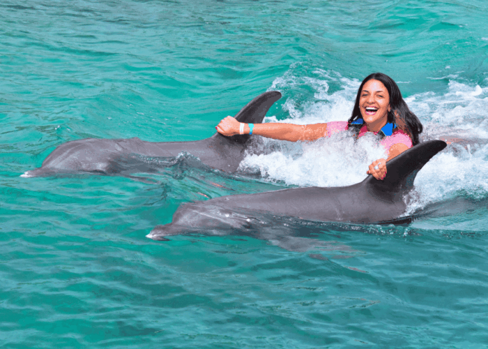 roatan action swim
