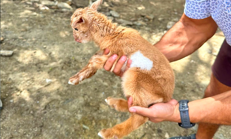 Hacienda del cielo roatan