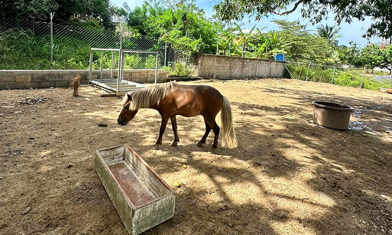 Hacienda del cielo roatan tour
