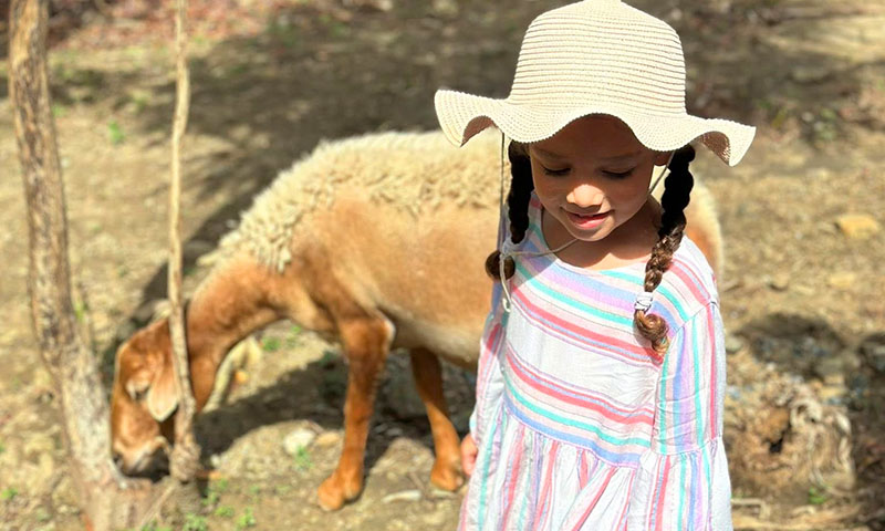 Hacienda del cielo roatan
